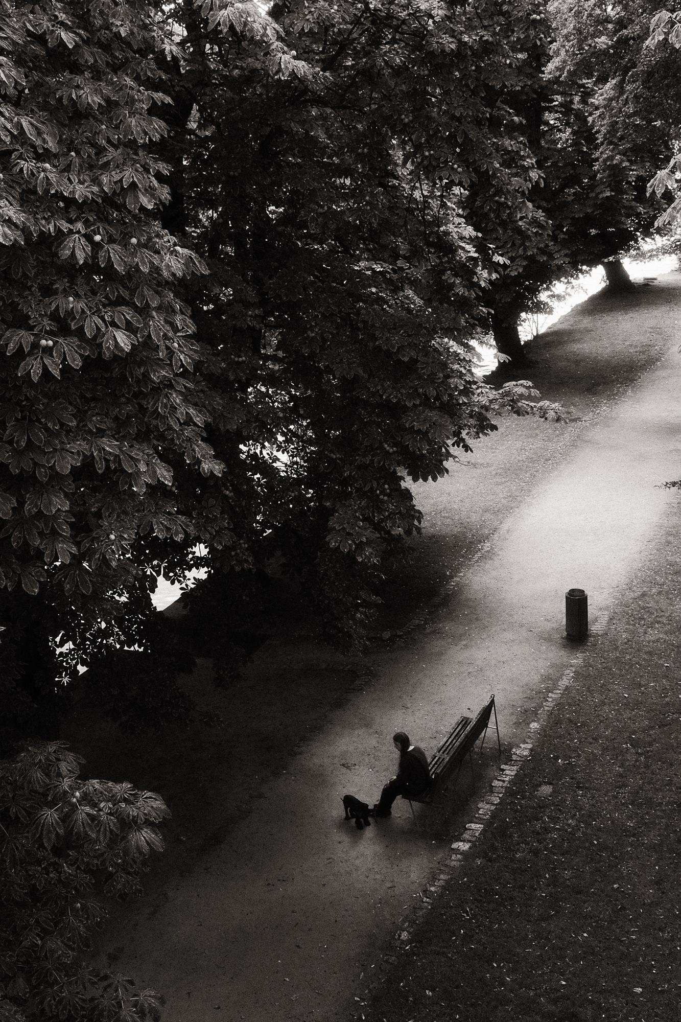 Čiernobiela fotografia ženy sediacej na lavičke v parku so psom po daždi.